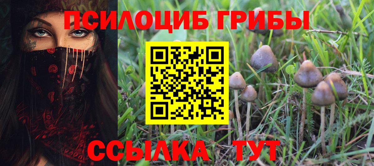 Псилоцибиновые грибы ЛСД  Вход с VPN  Советская Гавань 